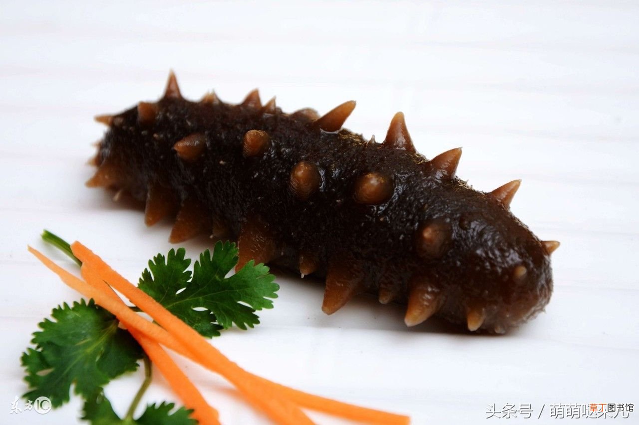 吃海参的功效与作用 海参的正确吃法