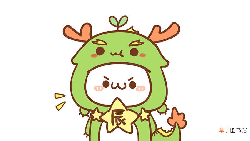 属龙的人2019年运势