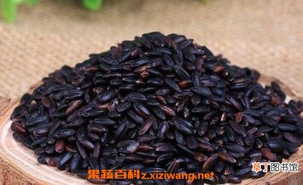 紫米和黑米的区别 紫米和黑米哪个好