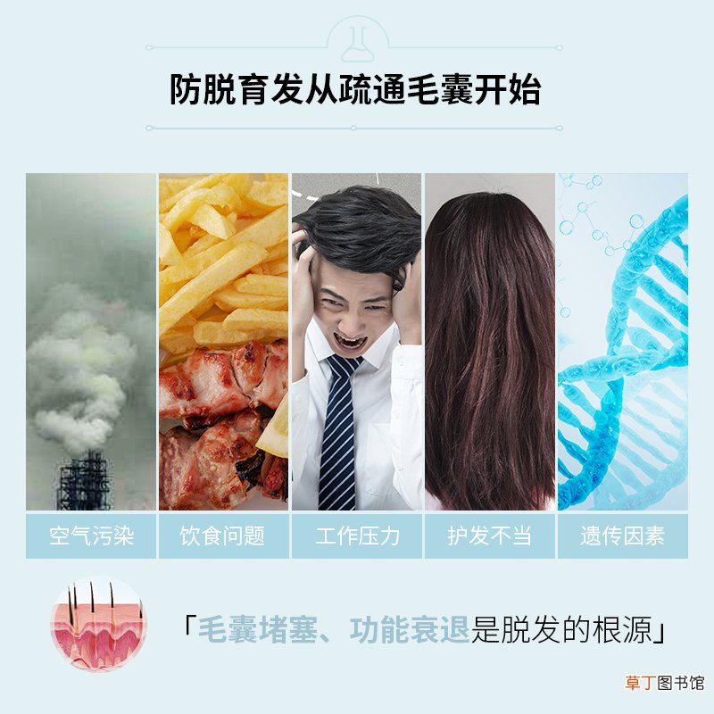 防脱生发的好方法