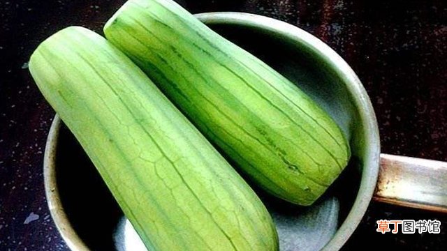挖出来的“丝瓜瓤”还能养花？剪碎后埋土里，防止土壤变硬的好帮手！