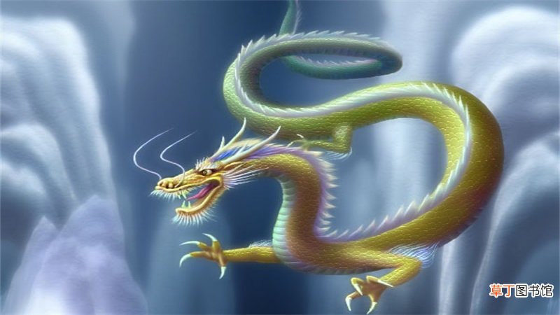64年生属龙人今年运程