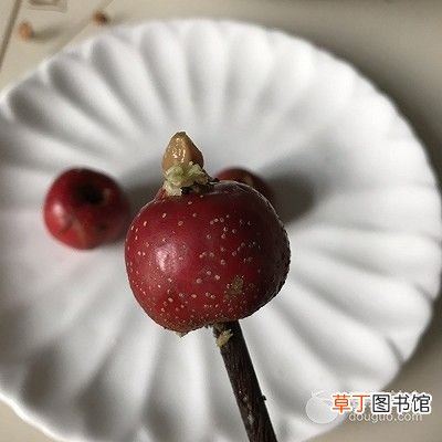 山楂罐头家庭自制法 自制山楂罐头的做法
