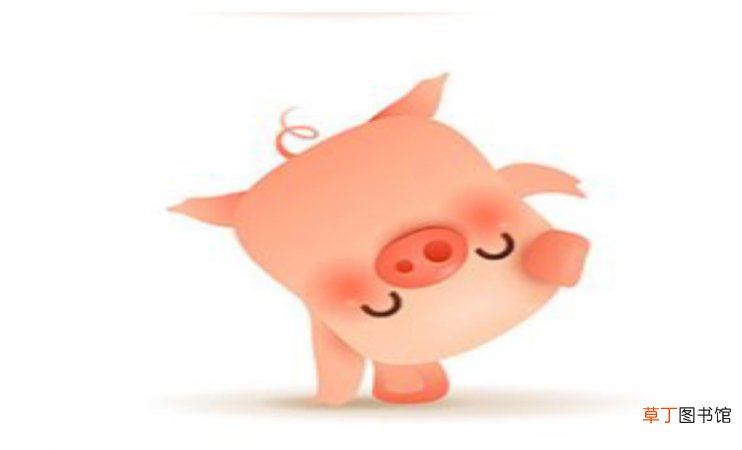 2019年属猪运势如何