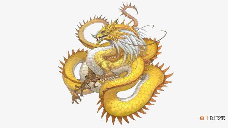 今年龙的运势怎么样