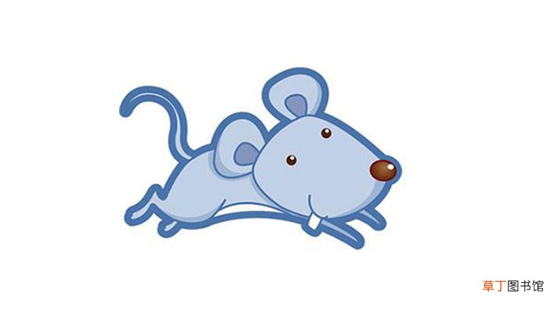 属鼠2021年运势
