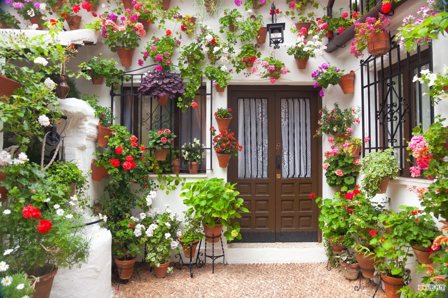 路边捡来的“垃圾”也能做肥料养花，每次来上点，花根更健壮！