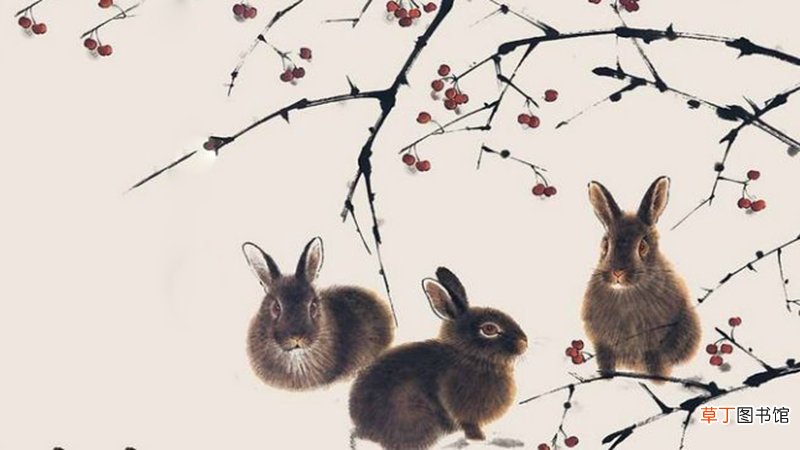 2019年属兔人的运势