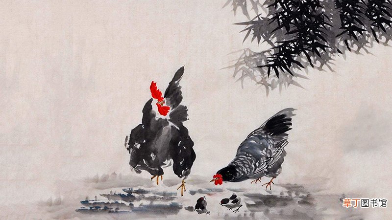 2019年属鸡的运势