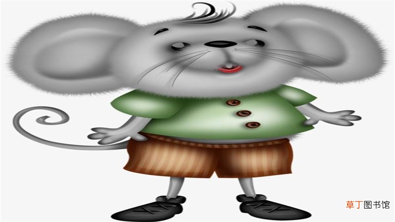 19年鼠人运势如何