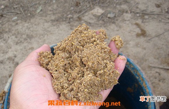 米糠怎么做 米糠的做法大全