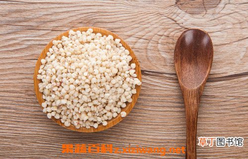 高粱米怎么吃 高粱米怎么吃煮干饭