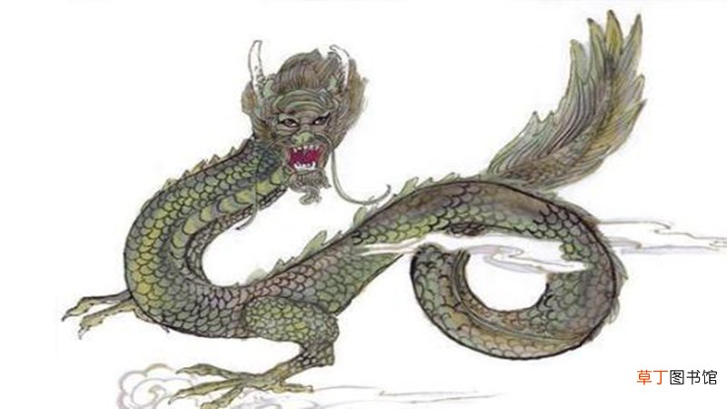 属龙人遇猪年怎样改运