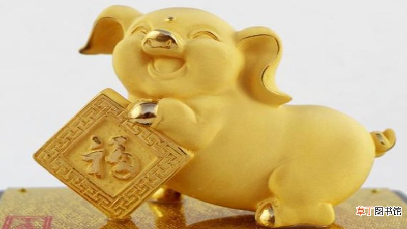 属猪的人今年财运如何