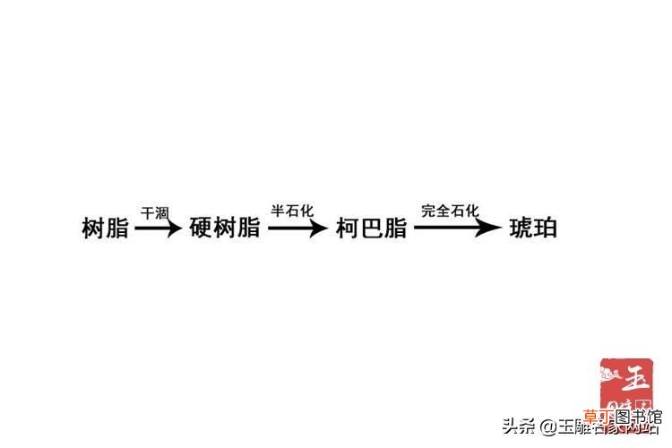 琥珀的形成过程 琥珀形成需要哪些阶段？