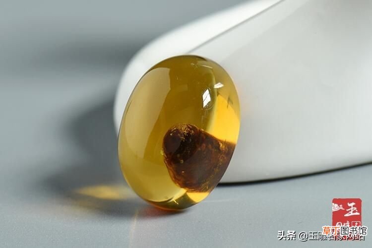 琥珀的形成过程 琥珀形成需要哪些阶段？