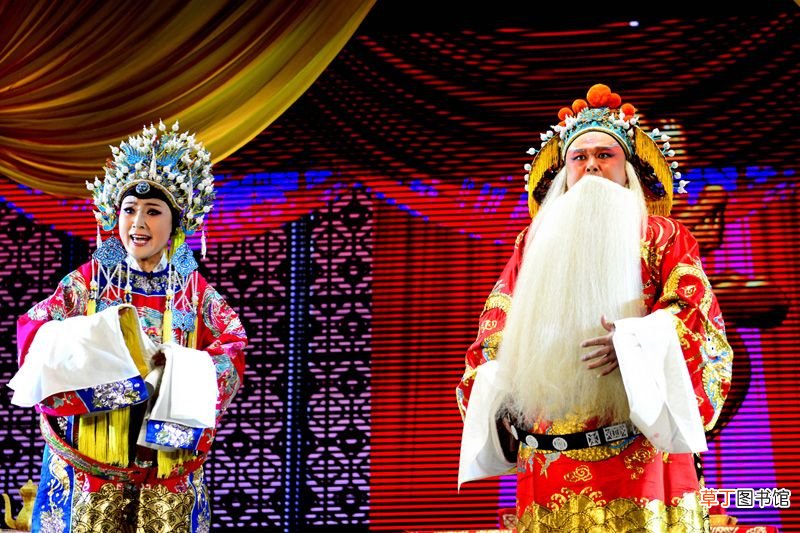 升平公主 唐代宗嫡女升平公主的生平简介