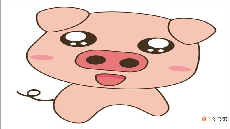 属猪的今年多大