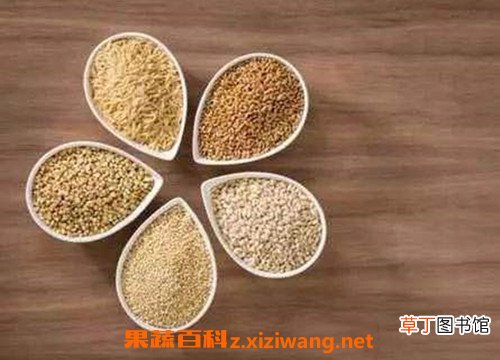 米糠如何保存 米糠能存放多久