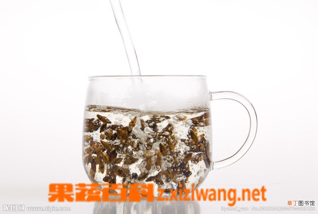 大麦茶