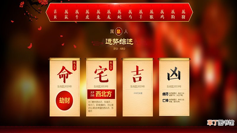 老鼠今年运势