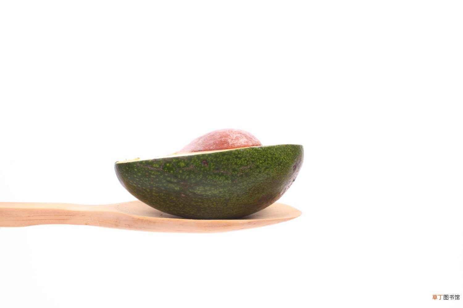 牛油果核怎么种盆栽