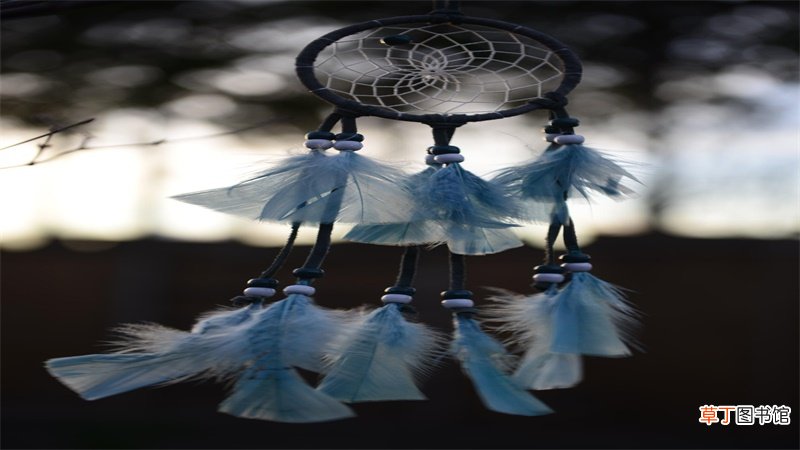 梦见柿子树上结满柿子什么意思