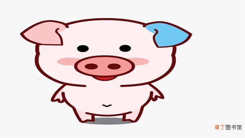 属猪人今年的运程