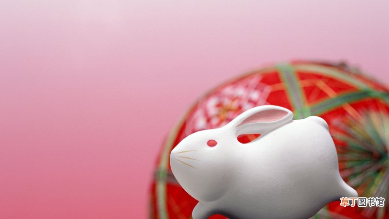 2011年属兔几月出生好