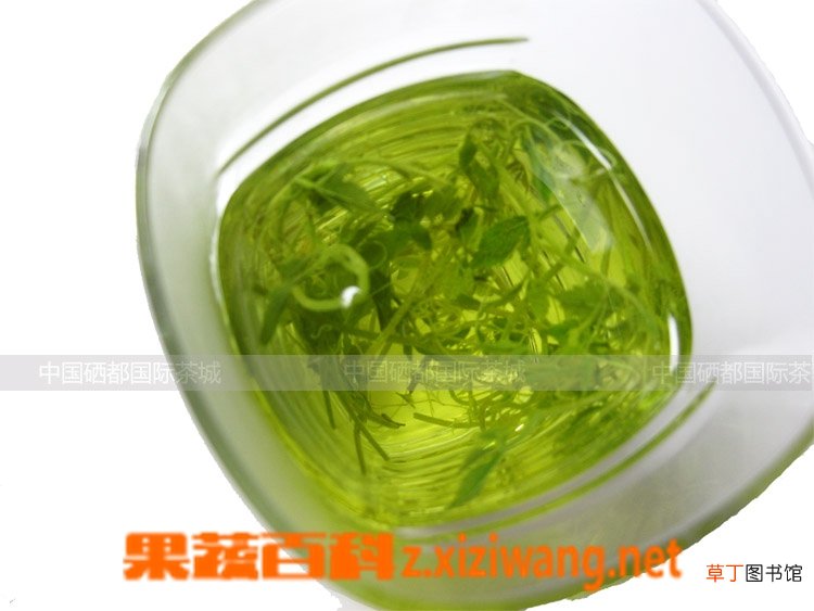 绞股蓝茶