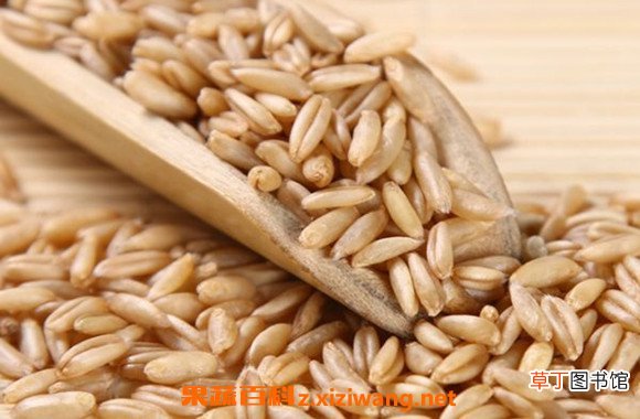 燕麦米的功效与作用 长期吃燕麦米的坏处
