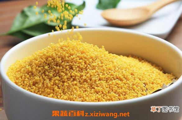 小黄米怎么吃 每天吃小黄米的危害