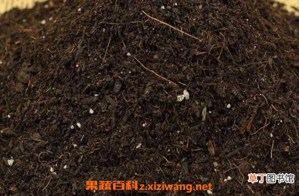 花土怎么配 最简单的多肉植物配土方法