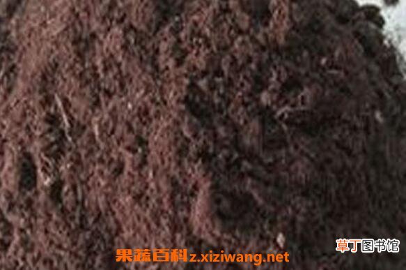 花土怎么配 最简单的多肉植物配土方法