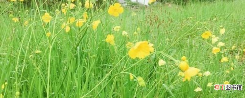 时光旖旎 浮生缱绻什么意思-生活百科知识