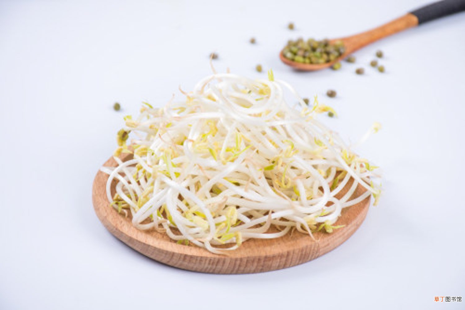 豆芽怎么种