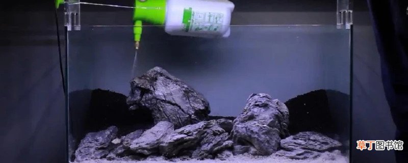 鱼缸开缸养水的正确方法