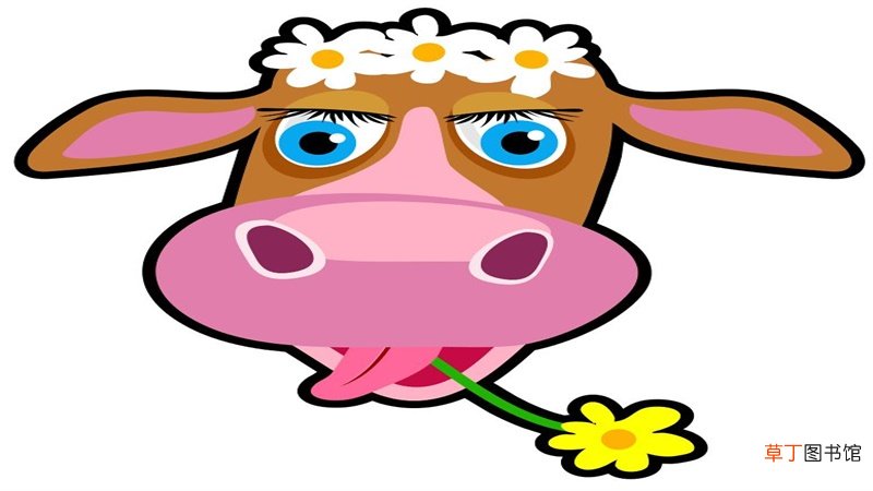 牛和兔相配婚姻如何
