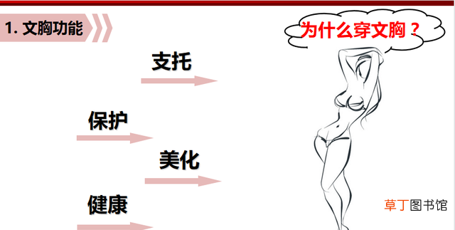 为什么一定要穿内衣（女生为什么要穿文胸)