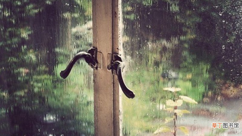 女人梦见下雨是啥意思