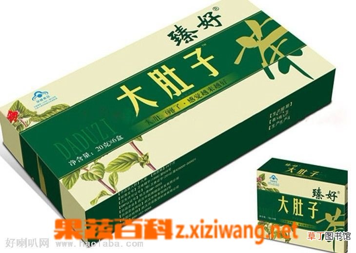 大肚子减肥茶