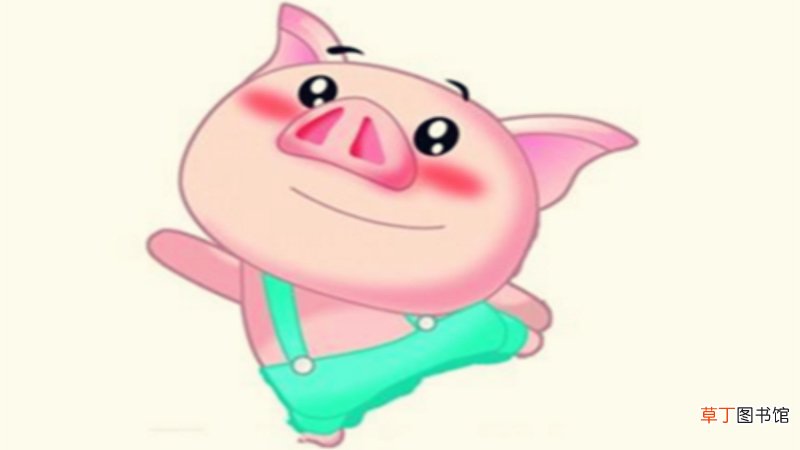 猪和龙相冲吗