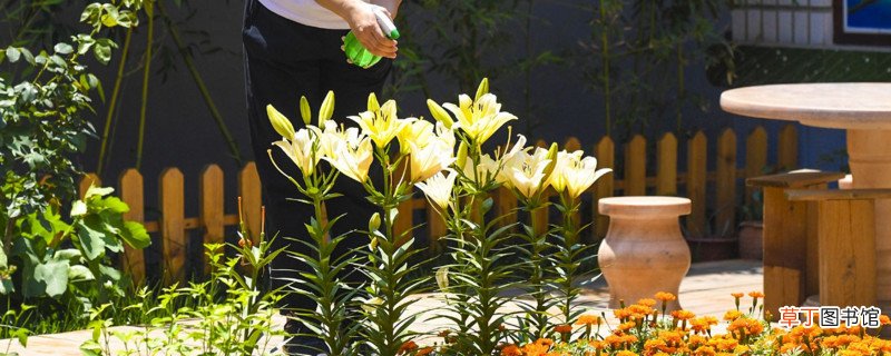 自来水能浇花吗