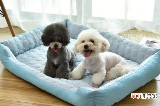 狗窝的制作方法