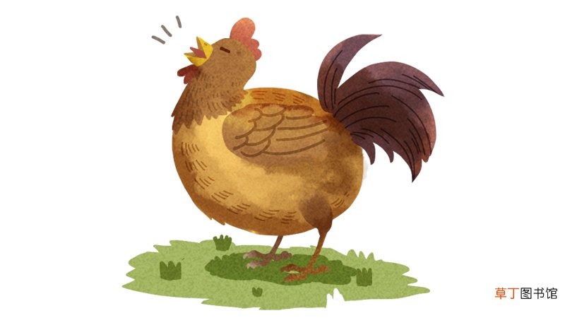 1993年属鸡的姻缘