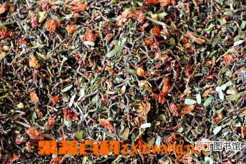 山蜜草的功效与作用