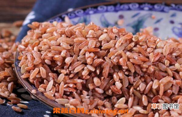 红糯米怎么吃 红糯米的食用方法