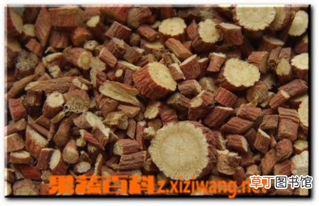 中药甘草的功效与作用