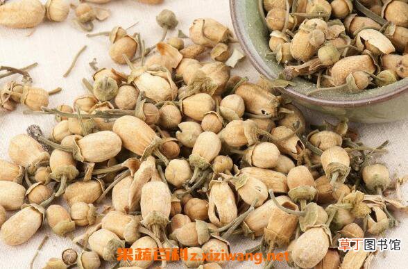玳玳花的功效与作用有哪些 玳玳花的药用价值