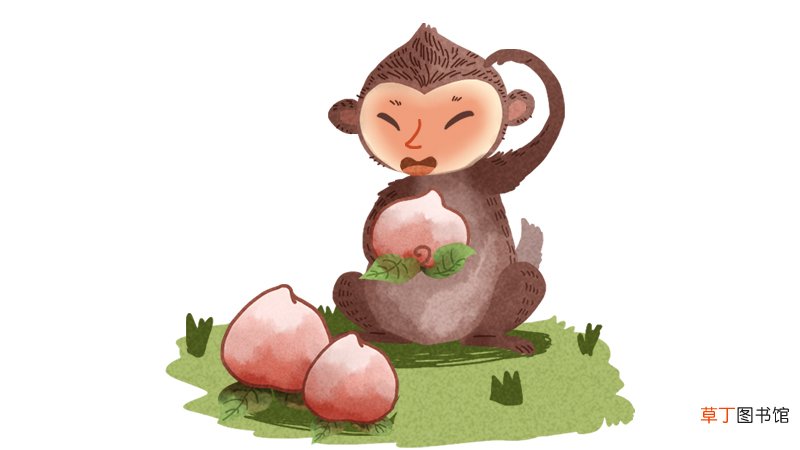 属猴和属鼠的合不合